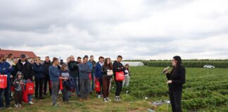 Folia ściółkująca w uprawie truskawek – sprawdzamy najnowsze rozwiązania folia ściółkująca