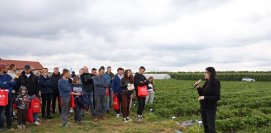 Folia ściółkująca w uprawie truskawek – sprawdzamy najnowsze rozwiązania folia ściółkująca
