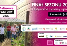 Malinowe Factory 2026 – ruszyła rejestracja. Porozmawiajmy o sezonie
