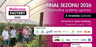 Malinowe Factory 2026 – ruszyła rejestracja. Porozmawiajmy o sezonie