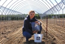 Analiza gleby i wody to fundament udanej plantacji truskawek. Ekspertka firmy YARA pokazuje, od czego zacząć