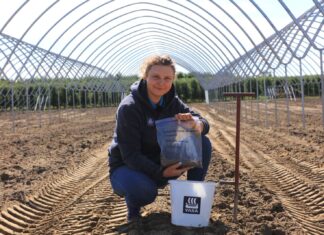 Analiza gleby i wody to fundament udanej plantacji truskawek. Ekspertka firmy YARA pokazuje, od czego zacząć