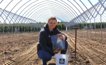 Analiza gleby i wody to fundament udanej plantacji truskawek. Ekspertka firmy YARA pokazuje, od czego zacząć