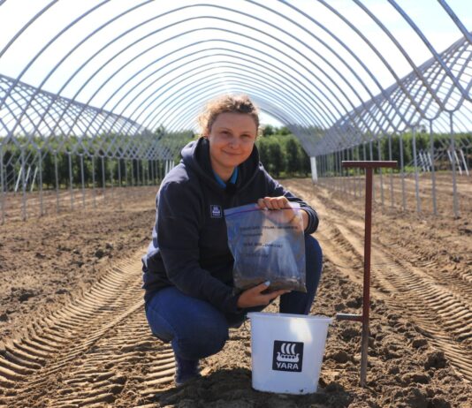 Analiza gleby i wody to fundament udanej plantacji truskawek. Ekspertka firmy YARA pokazuje, od czego zacząć