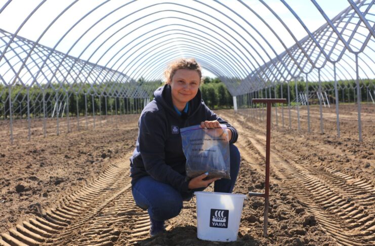 Analiza gleby i wody to fundament udanej plantacji truskawek. Ekspertka firmy YARA pokazuje, od czego zacząć