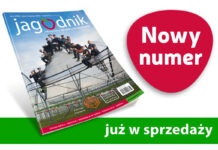 Jagodnik 6/2026 już w sprzedaży!