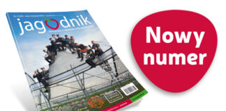 Jagodnik 6/2026 już w sprzedaży!