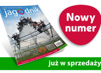 Jagodnik 6/2026 już w sprzedaży!