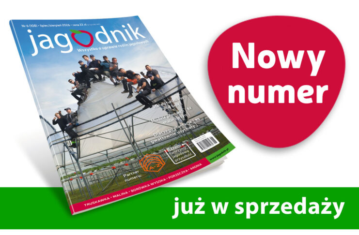 Jagodnik 6/2026 już w sprzedaży!