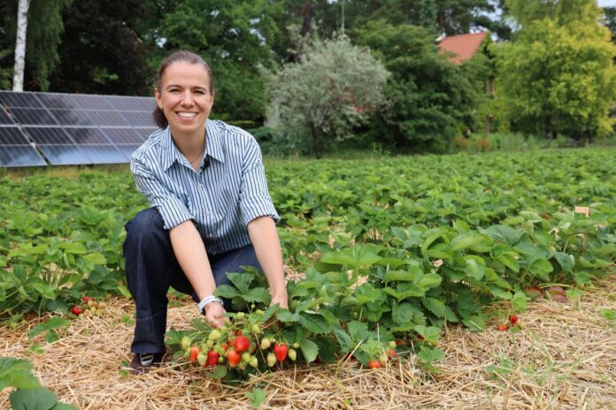 Katarzyna Grymuza z firmy Hortplant