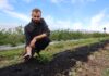 Nowe borówki na „zmęczonej” glebie. Przygotowanie stanowiska po starej plantacji? Dr inz. Radosław Łany, rekomenduje zastosowanie produktu Carbomat w przygotowaniu stanowiska pod uprawę borówki