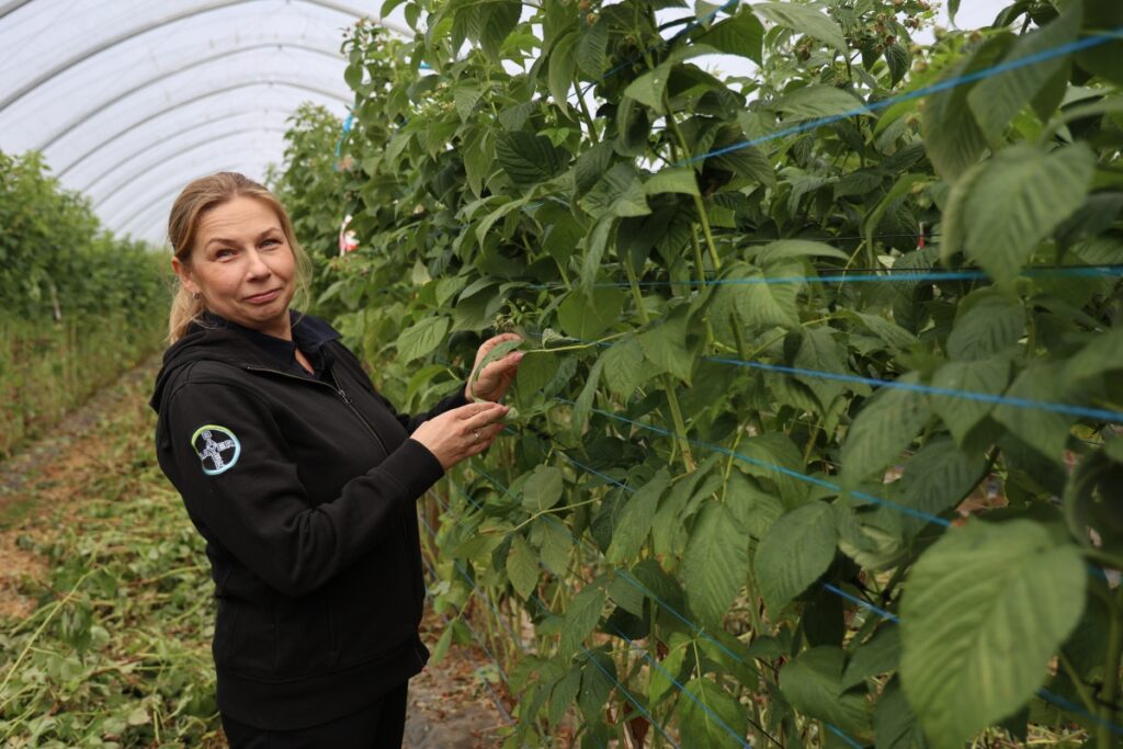 Barbara Witkowska z firmy Bayer