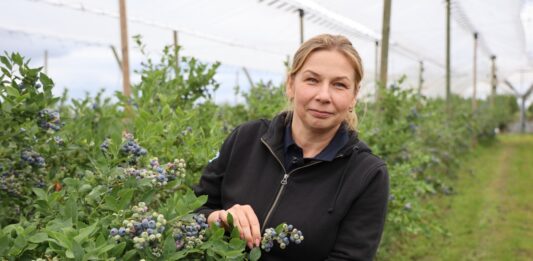 Muszka plamoskrzydła może zaatakować w czasie zbiorów borówki. Jak ograniczyć ryzyko strat? Barbara Witkowska, Bayer