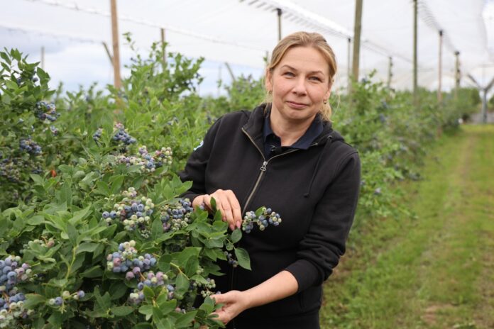 Barbara Witkowska, Bayer