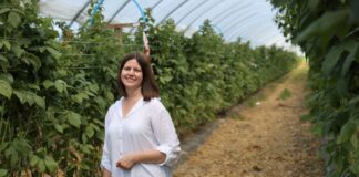 ‘Enrosadira’ po letnim zbiorze. Jak ograniczyć przędziorka i przygotować rośliny do jesiennego owocowania? Justyna Wasiak, Sumi Agro Poland