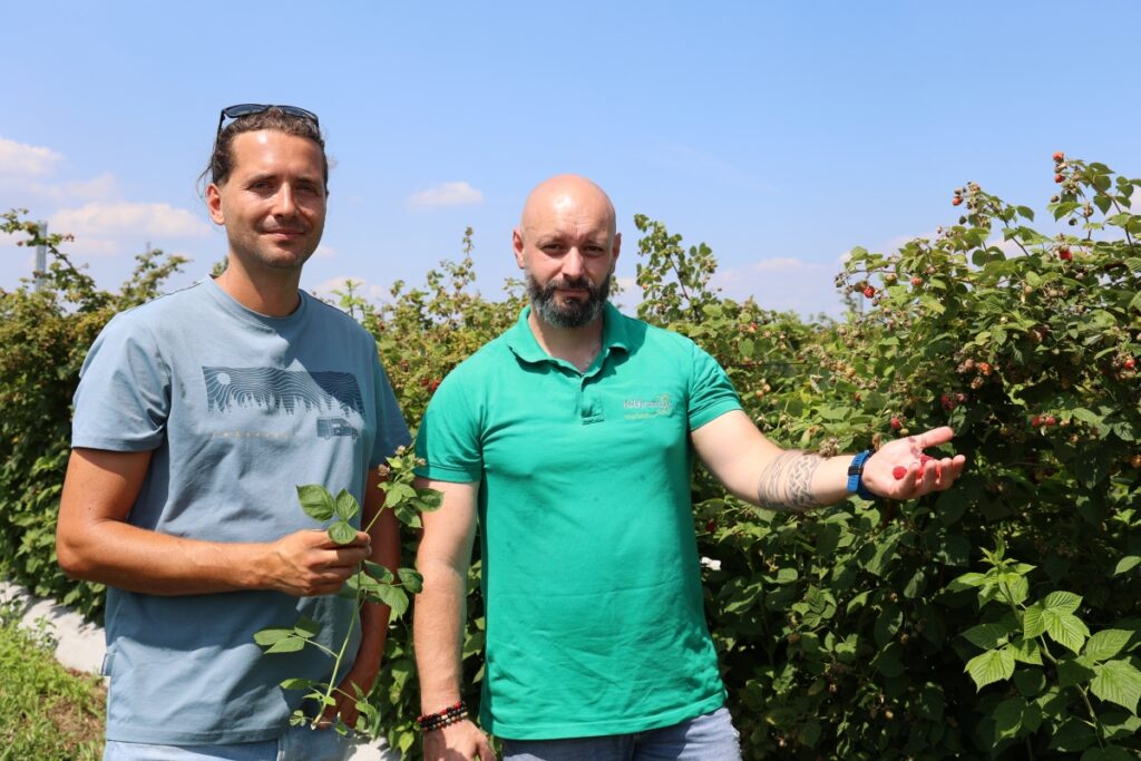 Michał Malicki (Symbioz) i Krzysztof Łagocki (ICB Pharma)