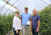 Mikrobiologia wspiera nawożenie malin