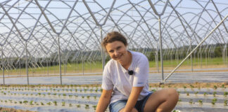 Zakładanie plantacji truskawek w sierpniu? Analiza gleby i pierwsze tygodnie po posadzeniu decydują o przyszłym plonie