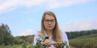 Porzeczki po zbiorach. Jak przygotować plantację do kolejnego sezonu? Najważniejsze zalecenia dotyczące ochrony i nawożenia