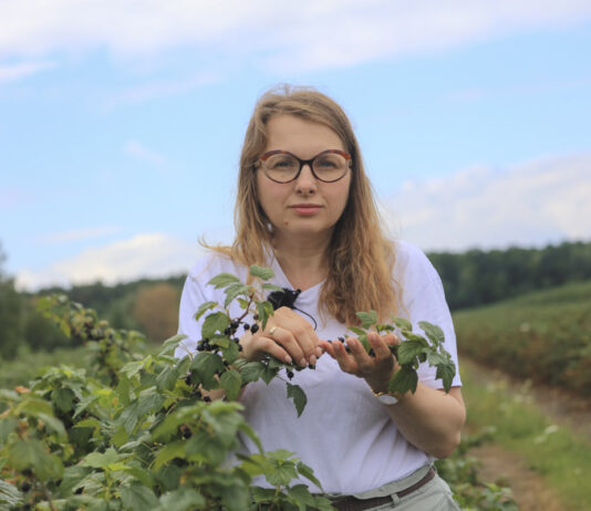 Porzeczki po zbiorach. Jak przygotować plantację do kolejnego sezonu? Najważniejsze zalecenia dotyczące ochrony i nawożenia