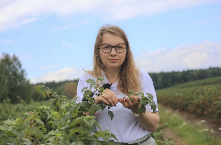 Porzeczki po zbiorach. Jak przygotować plantację do kolejnego sezonu? Najważniejsze zalecenia dotyczące ochrony i nawożenia