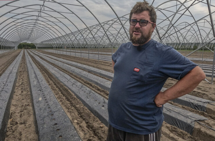 Jak przygotować zagony pod truskawki w tunelach? Mateusz Włodarczyk pokazuje rozwiązania zastosowane w Hornigach