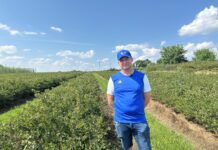 Czy warto dziś sadzić agrest i porzeczki? Plantator mówi o plonach, cenach i opłacalności Piotra Piłata prowadzi rodzinne gospodarstwo z uprawą krzewów jagodowych