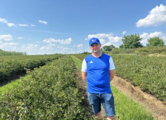 Czy warto dziś sadzić agrest i porzeczki? Plantator mówi o plonach, cenach i opłacalności Piotra Piłata prowadzi rodzinne gospodarstwo z uprawą krzewów jagodowych
