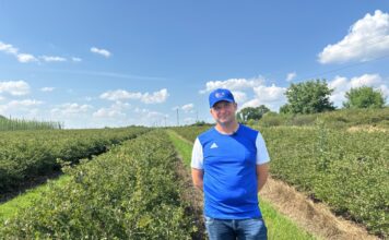 Czy warto dziś sadzić agrest i porzeczki? Plantator mówi o plonach, cenach i opłacalności Piotra Piłata prowadzi rodzinne gospodarstwo z uprawą krzewów jagodowych