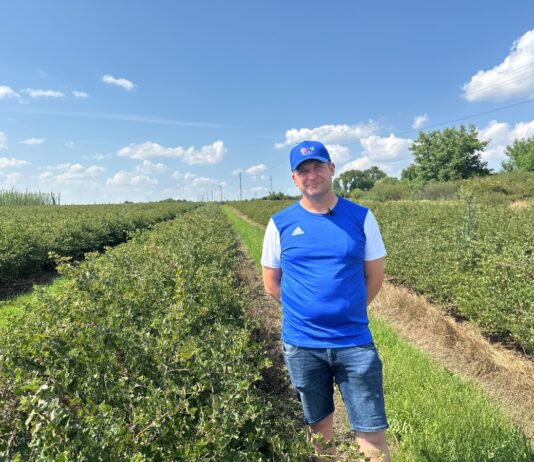 Czy warto dziś sadzić agrest i porzeczki? Plantator mówi o plonach, cenach i opłacalności Piotra Piłata prowadzi rodzinne gospodarstwo z uprawą krzewów jagodowych