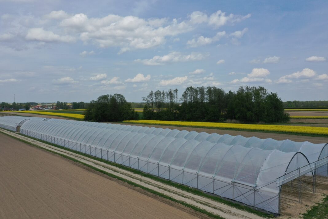Dwie nawy zblokowanych tuneli na wąskiej działce - wykonawca AZ Tunel