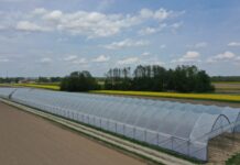 Tunele dopasowane do działek Dwie nawy zblokowanych tuneli na wąskiej działce - wykonawca AZ Tunel