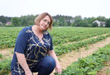 Nie zgaduj – diagnozuj (cz. I) Aneta Chałańska, NEFScience