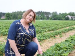 Nie zgaduj – diagnozuj (cz. I) Aneta Chałańska, NEFScience