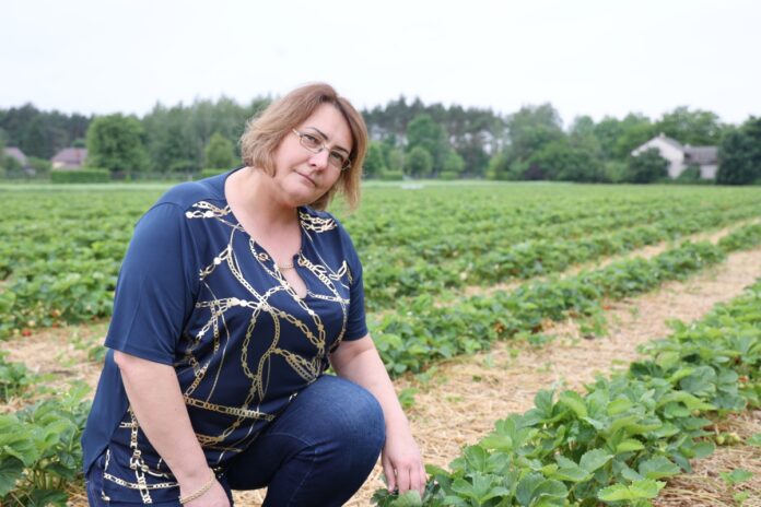 Aneta Chałańska, NEFScience