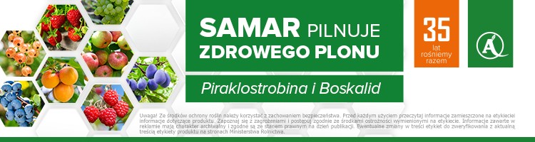 Poland Plants Banner