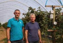Mikroklimat tunelu pod kontrolą. Czujniki w nowoczesnej uprawie jagodowej
