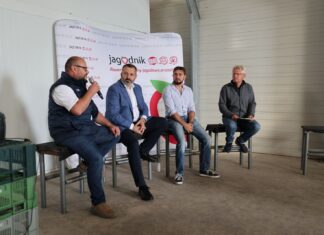 Malinowe Factory 2026. Wysokie ceny, to nie zawsze zyski. Wiele kwestii można jeszcze poprawić!