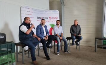 Malinowe Factory 2026. Wysokie ceny, to nie zawsze zyski. Wiele kwestii można jeszcze poprawić!