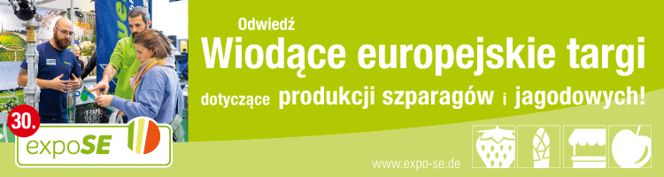 Vsse Banner