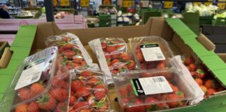 Truskawki powtarzające – aktualne ceny owoców (30.09) truskawki powtarzające ceny