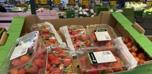 Truskawki powtarzające – aktualne ceny owoców (30.09) truskawki powtarzające ceny