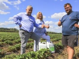 Cadenza w Hornigach po trudnym sezonie. Mateusza zdradza jaki był faktyczny plon!