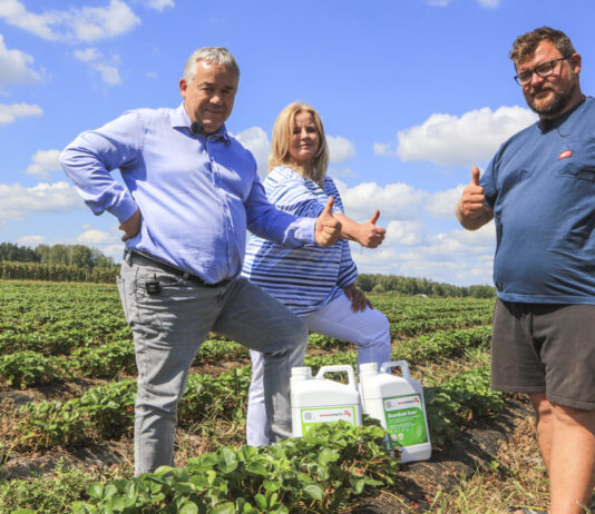 Cadenza w Hornigach po trudnym sezonie. Mateusza zdradza jaki był faktyczny plon!