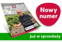 Jagodnik 7/2026 już w sprzedaży!