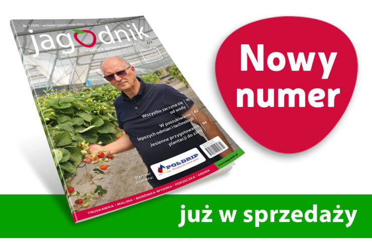 Jagodnik 7/2026 już w sprzedaży!