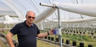 Czujniki zamiast podlewania „na wyczucie”. Jak automatyka koryguje nawadnianie? Maciej Pulą z firmy Poldrip przy jednym z czujników zainstalowanych w tunelu
