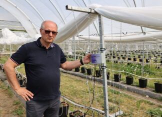 Czujniki zamiast podlewania „na wyczucie”. Jak automatyka koryguje nawadnianie? Maciej Pulą z firmy Poldrip przy jednym z czujników zainstalowanych w tunelu