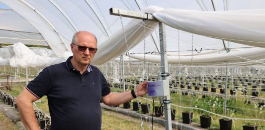 Czujniki zamiast podlewania „na wyczucie”. Jak automatyka koryguje nawadnianie? Maciej Pulą z firmy Poldrip przy jednym z czujników zainstalowanych w tunelu