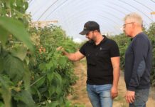 Antystresowi specjaliści. Dr Paweł Krawiec podsumował ten program w uprawie malin